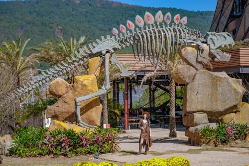 Tour Nha Trang Đà Lạt Diamond Bay Bãi Dài, cáp treo Vinpearl Harbour