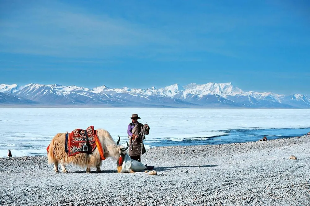 tour-du-lich-tay-tang-cung-dien-potala