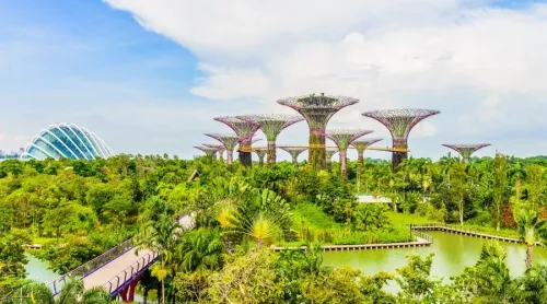 singapore Gardens by the Bay (Những khu vườn bên Vịnh)