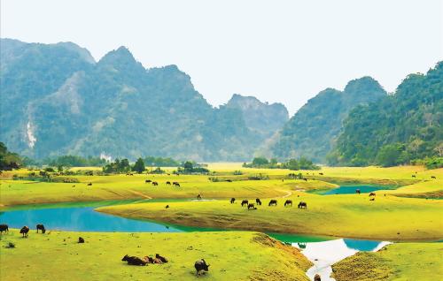 thao-nguyen-dong-lam-lang-son-haidangtravel