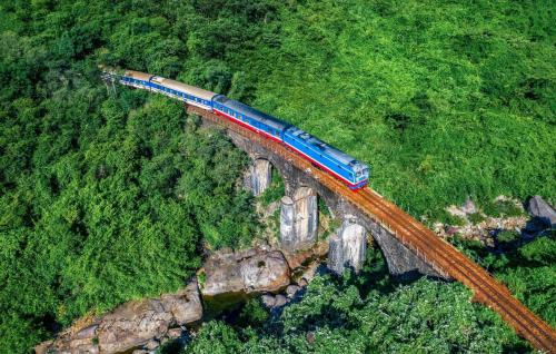 tour-tau-lua-quy-nhon-ly-son-3n4d