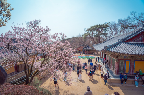 Chua-nghin-nam-Bulguksa-Gyeongju-HAIDANGTRAVEL